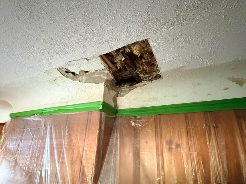 Living room ceiling opened up showing water damaged framing and soaked insulation